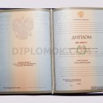 диплом впо 2004-2009